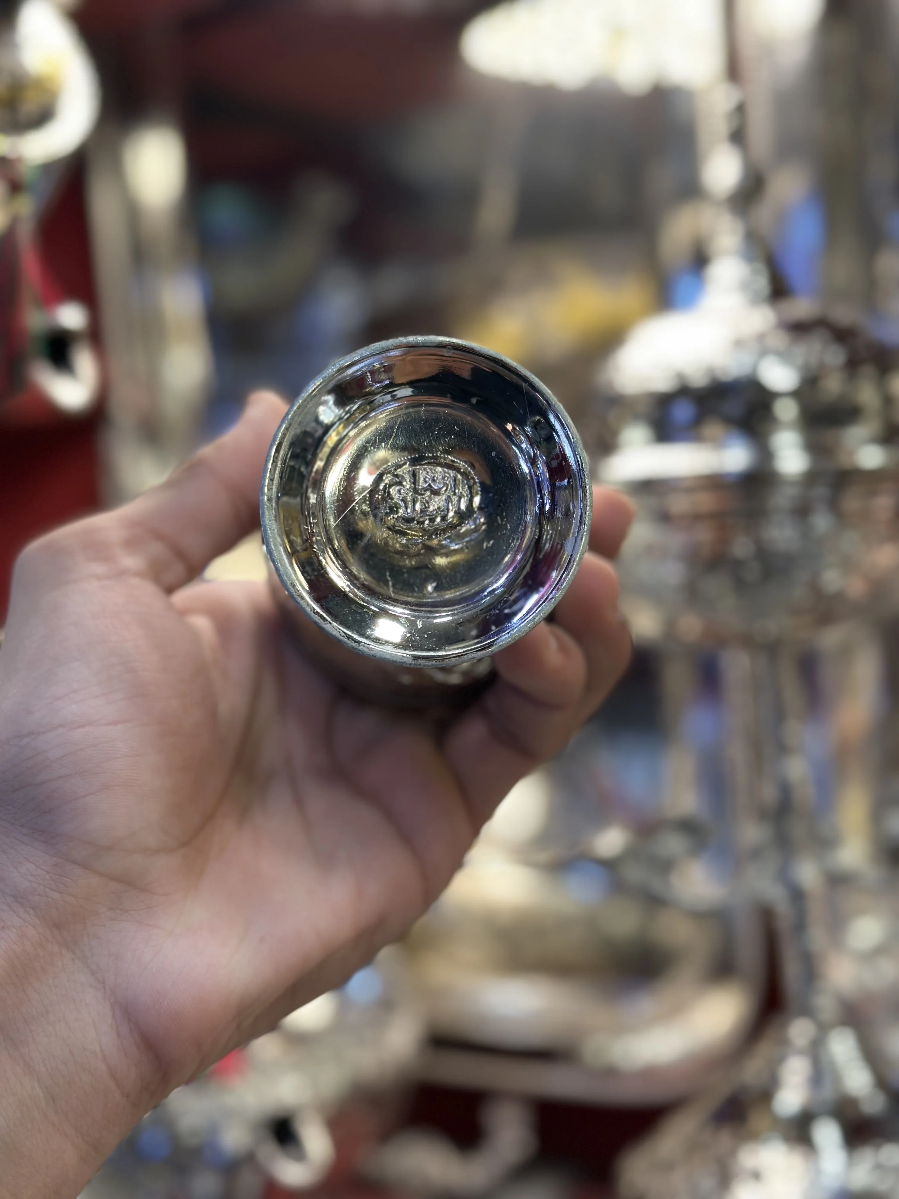 Mukhrah avec les jets des peupliers