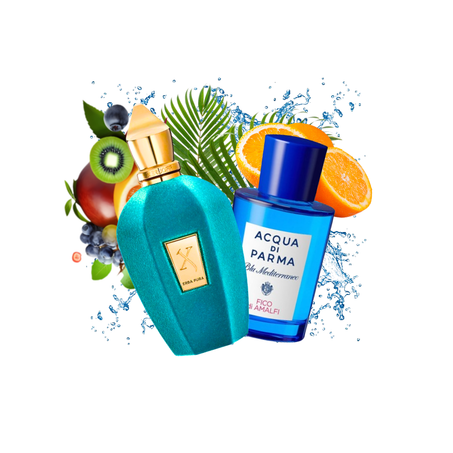 Parfums d'été Niche Duo Pack