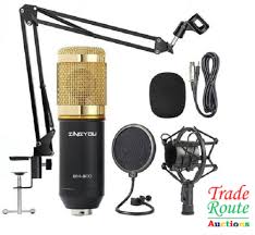 Microphone