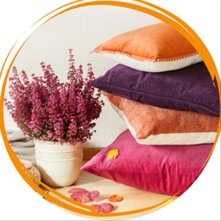 ديكور منازل