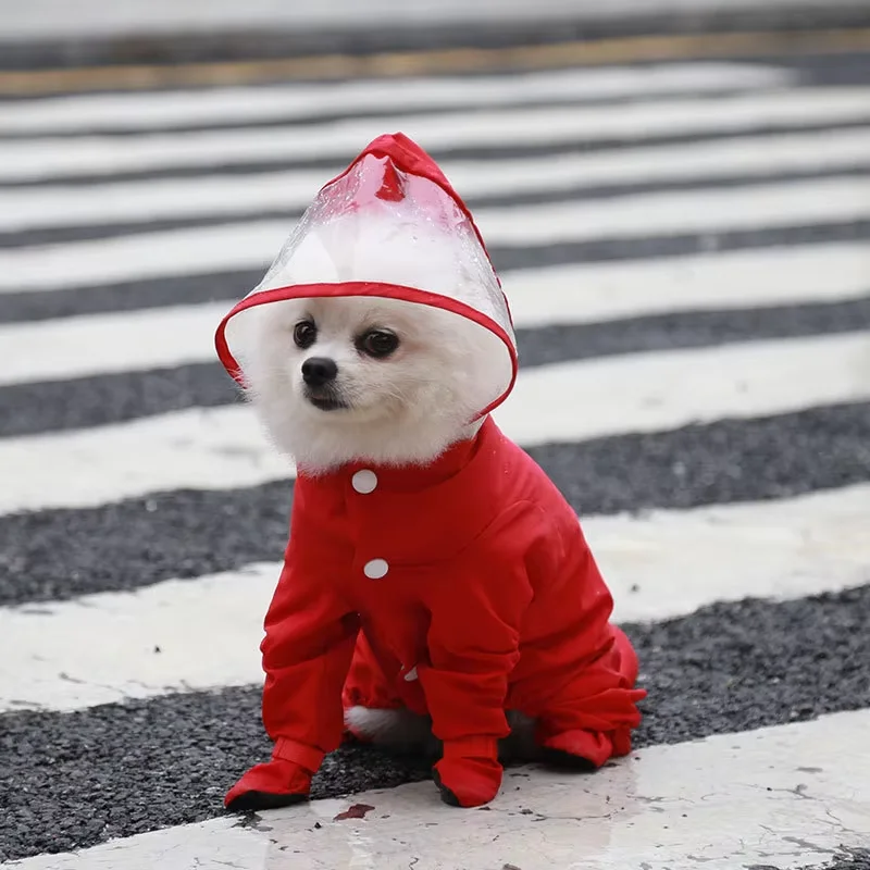 Combinaison imperméable pour chien, idéale pour la pluie, à quatre jambes, ensemble tout inclus, vêtement d'extérieur, mode animaux de compagnie, pour petit chien ou chat