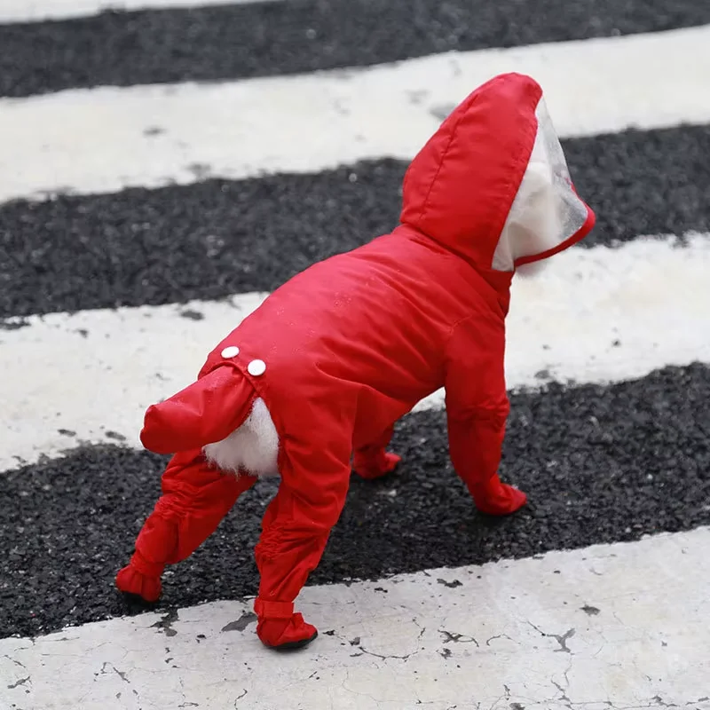 Combinaison imperméable pour chien, idéale pour la pluie, à quatre jambes, ensemble tout inclus, vêtement d'extérieur, mode animaux de compagnie, pour petit chien ou chat