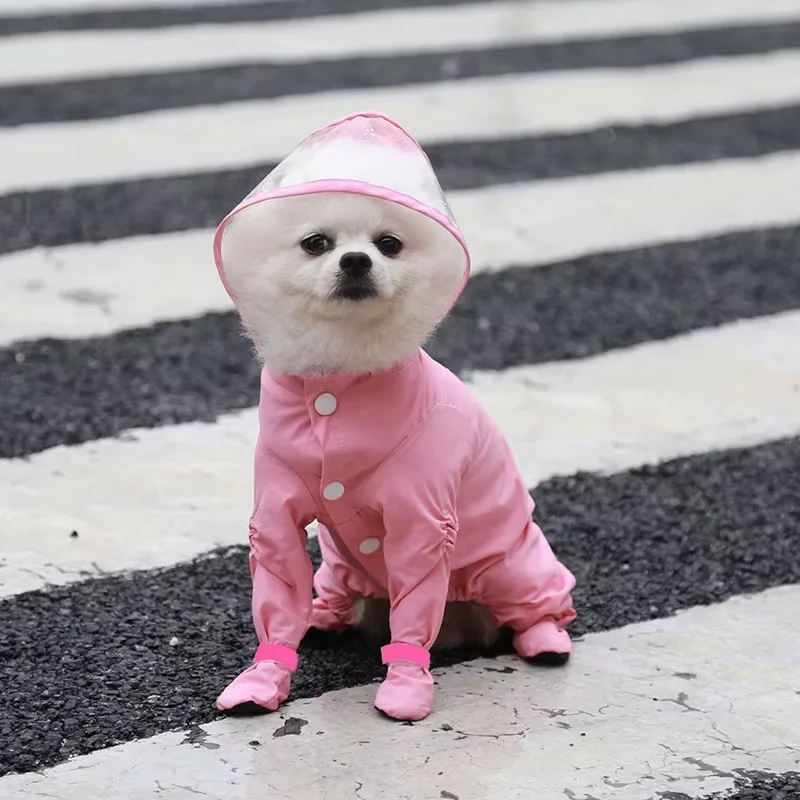 Combinaison imperméable pour chien, idéale pour la pluie, à quatre jambes, ensemble tout inclus, vêtement d'extérieur, mode animaux de compagnie, pour petit chien ou chat