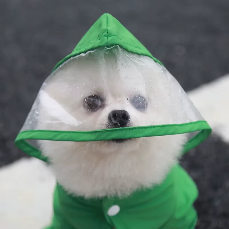 Combinaison imperméable pour chien, idéale pour la pluie, à quatre jambes, ensemble tout inclus, vêtement d'extérieur, mode animaux de compagnie, pour petit chien ou chat