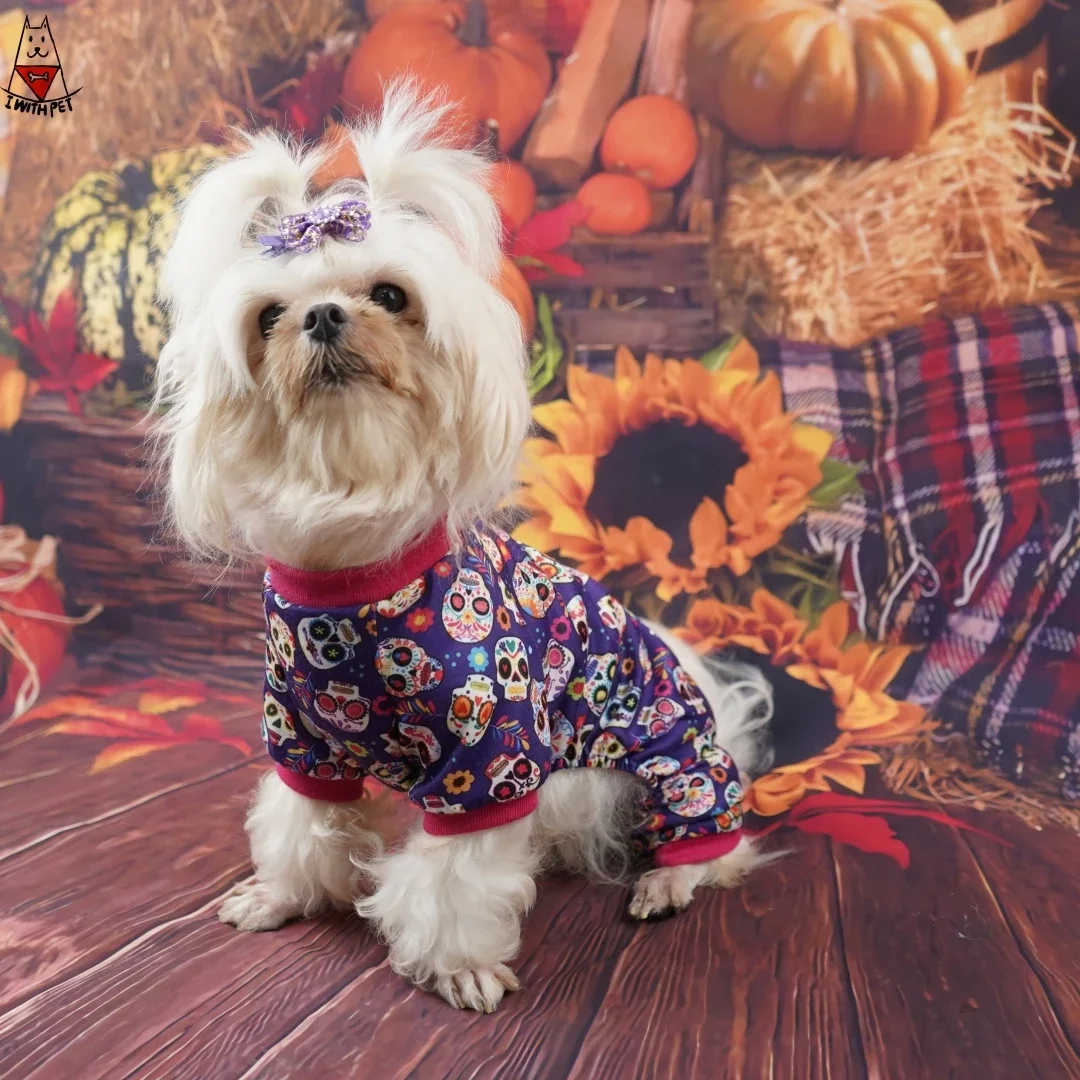 🎃New Halloween winter coat 2025🎃