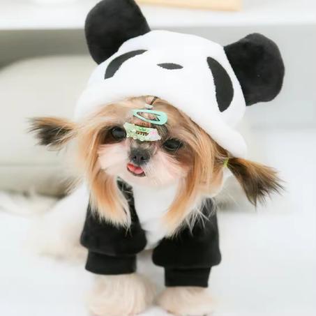 Dog Pure Cotton Jacket