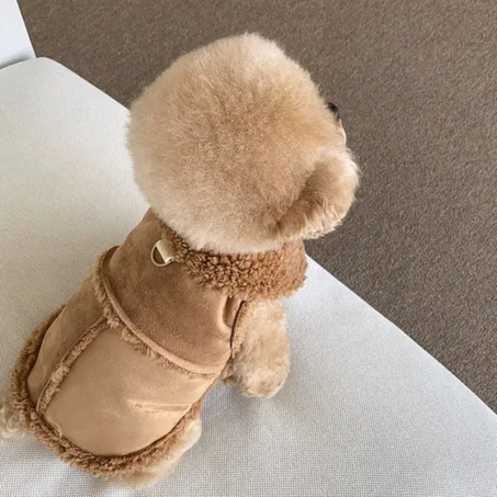 Dogs Warm Jacket With Leash