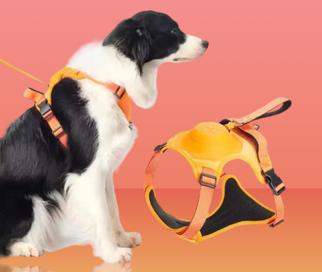 Dog No Pull Harness with Retractable Leash set Automatic Anti-Burst
