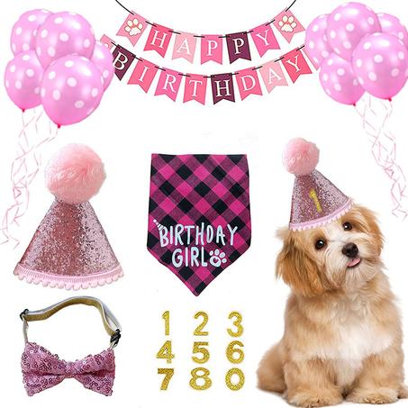 Pet birthday party accessories