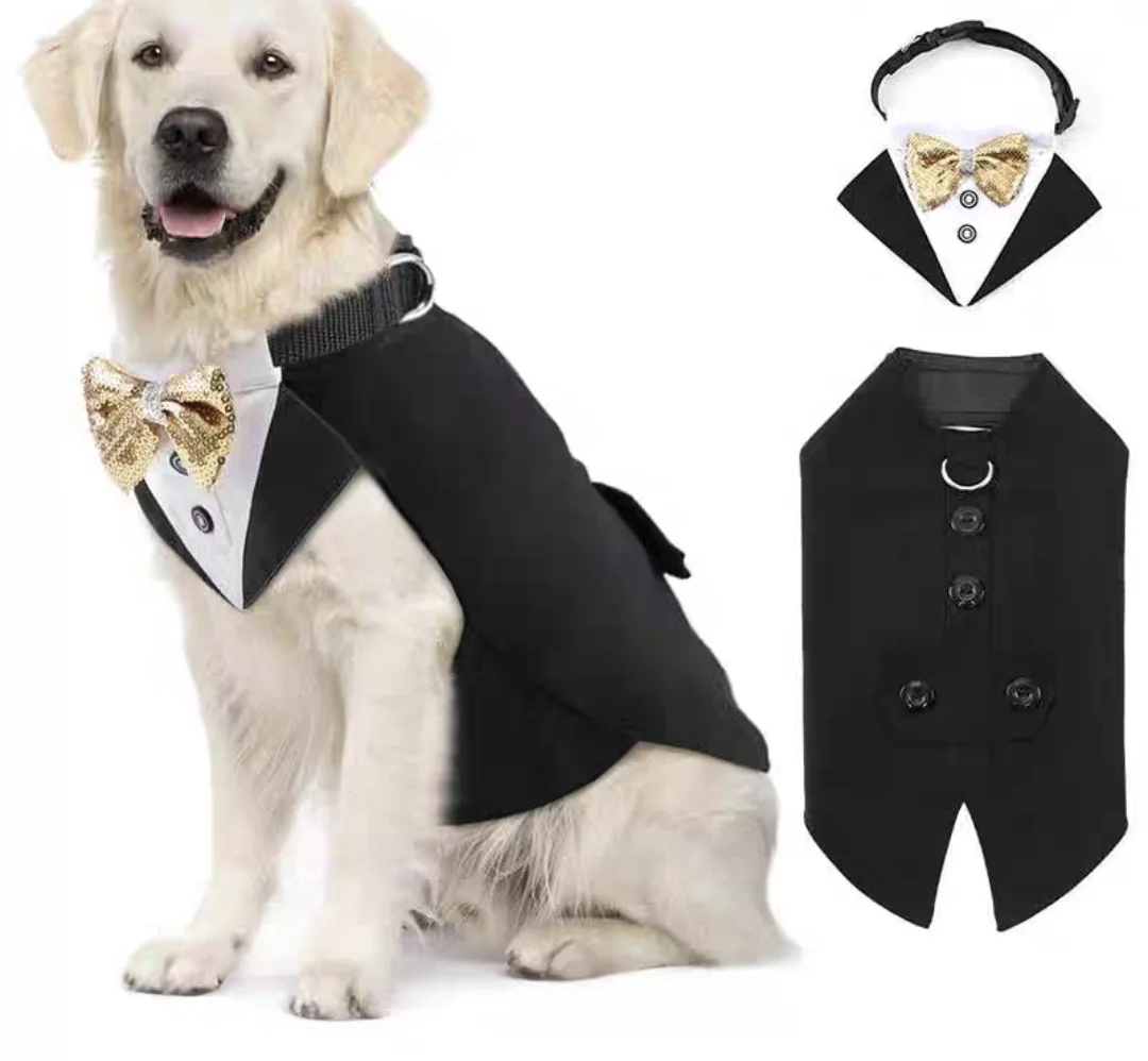 New Pets Costumes For events and parties