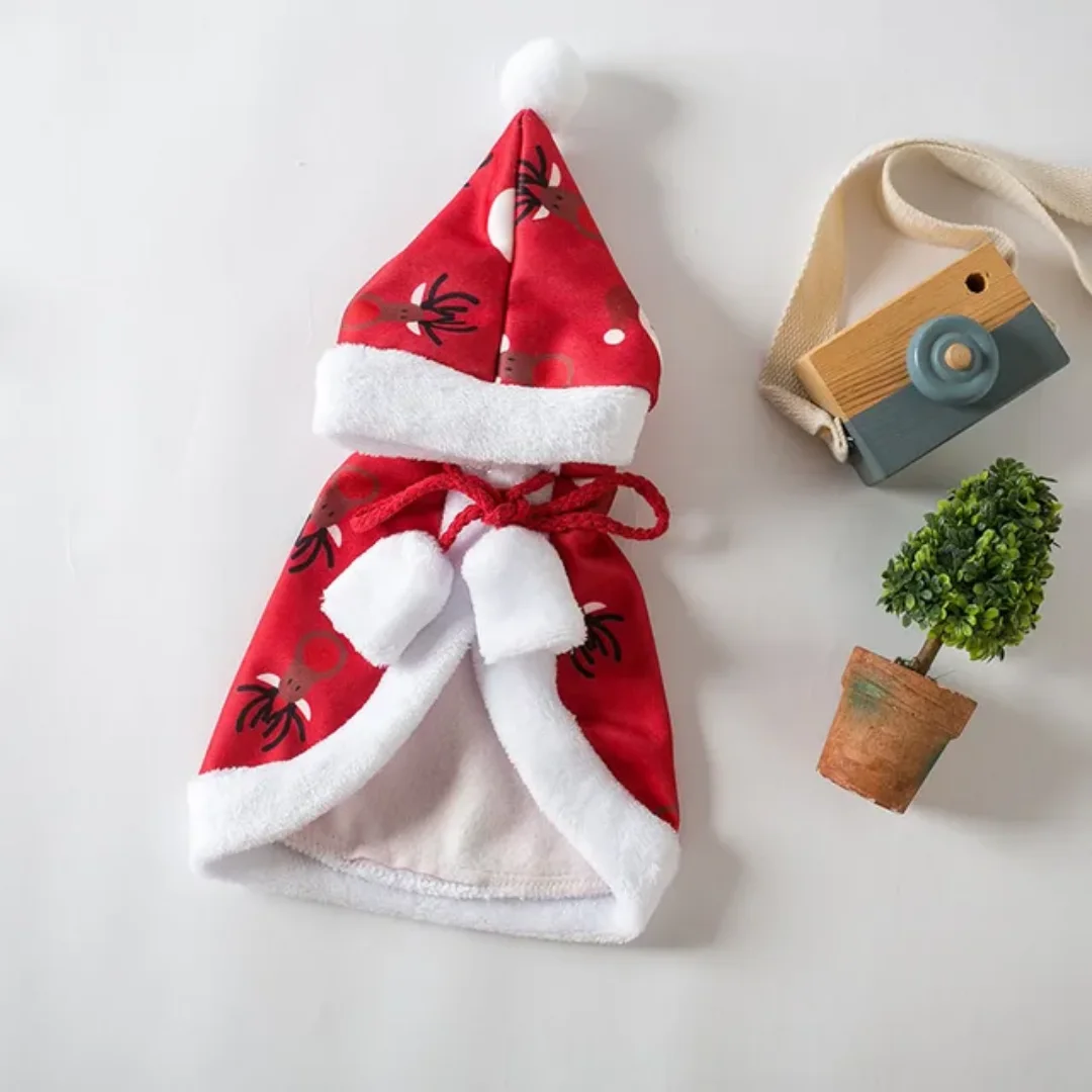 Pet warm Christmas colak for winter