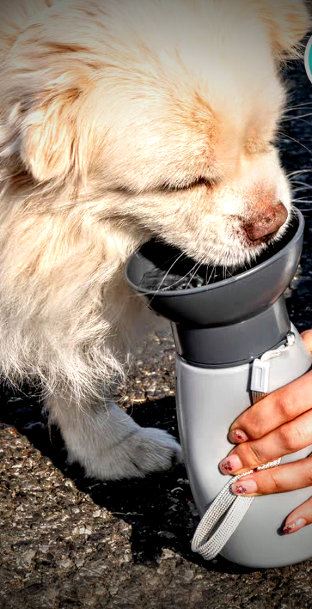 Portable Dog water bottle 600 ml