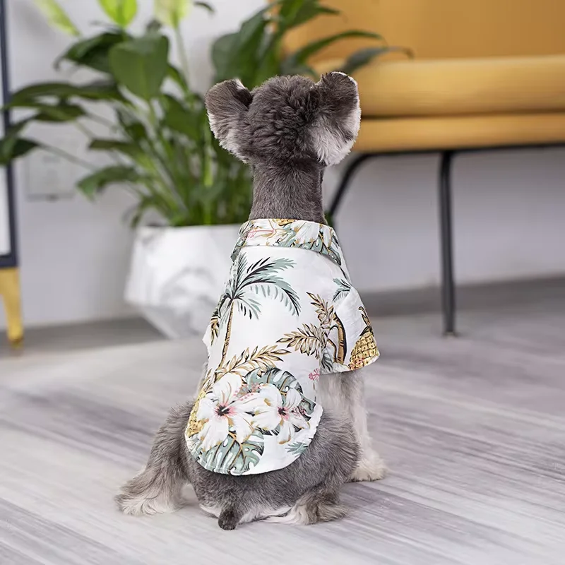 summer fashion T-shirt dog and owner