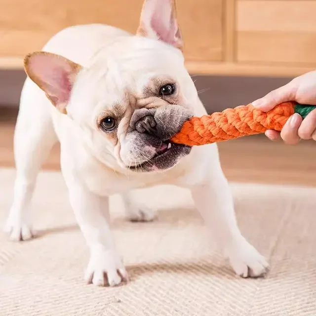 Dog Carrot toy