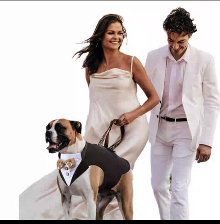 New Pets Costumes For events and parties