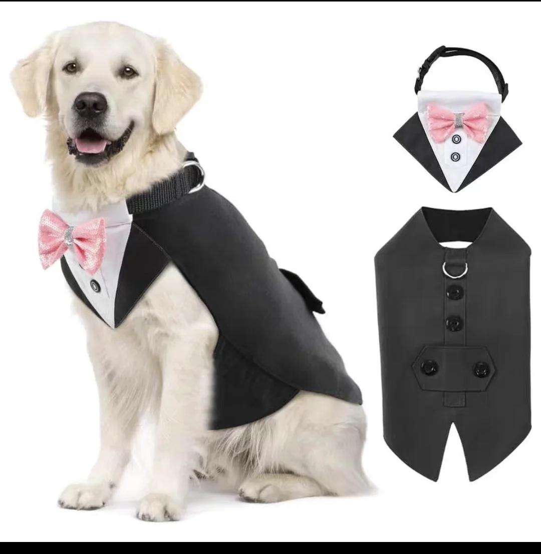 New Pets Costumes For events and parties