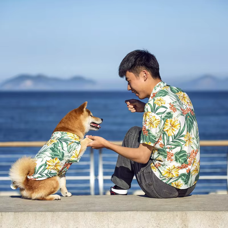 summer fashion T-shirt dog and owner