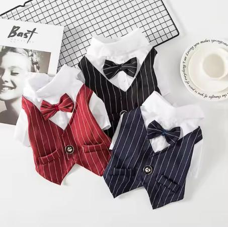 Luxury pets costum wedding