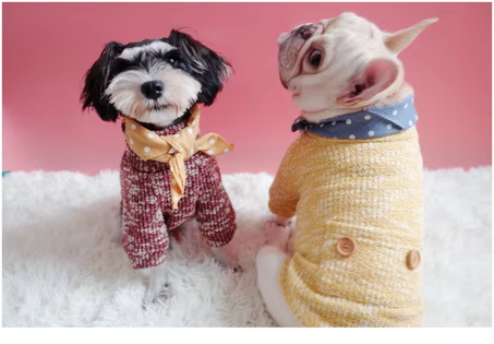 Bandana Style summer adjustable