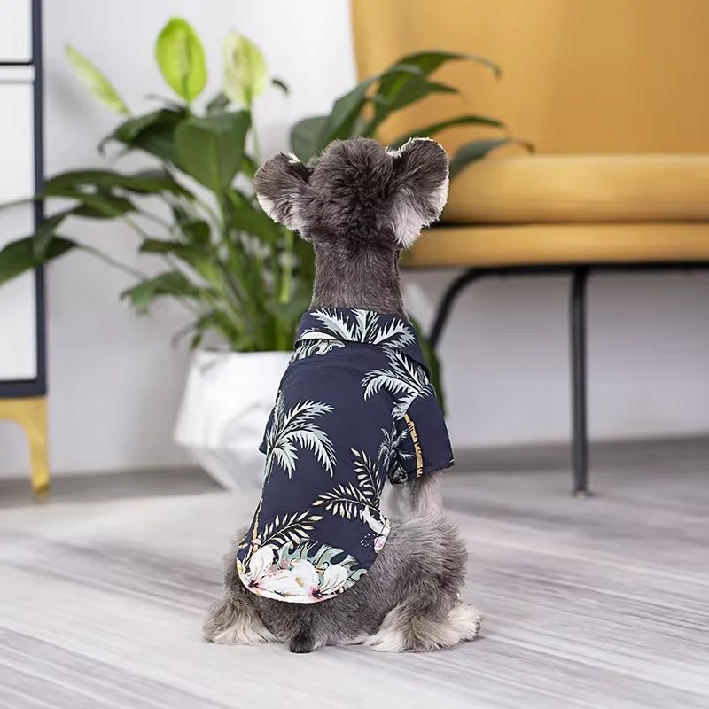 summer fashion T-shirt dog and owner