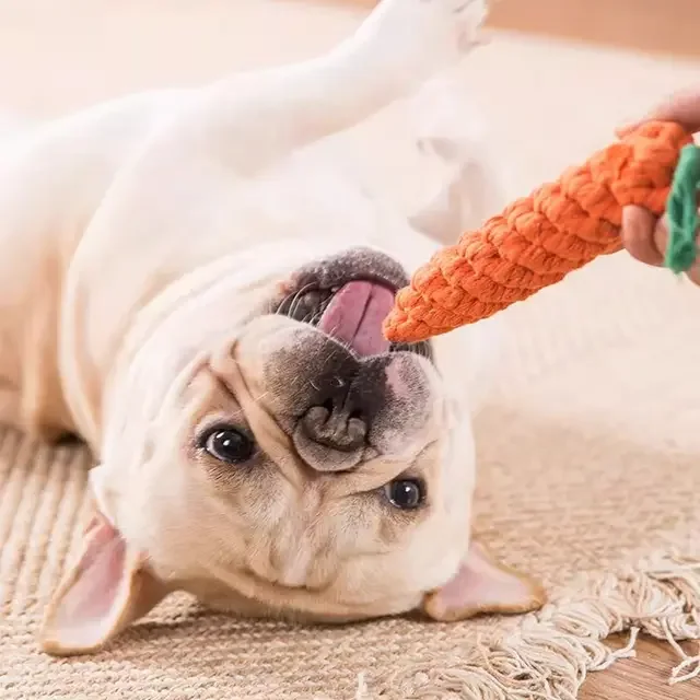 Dog Carrot toy