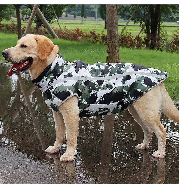 Warm Dog Jacket