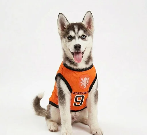 Pet Soccer Jersey T-shirt