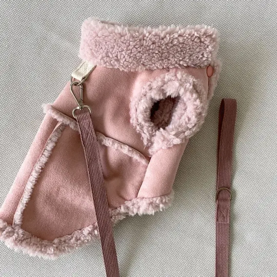 Dogs Warm Jacket With Leash