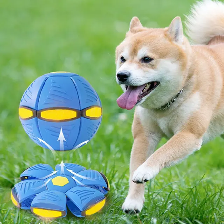Dog Toys Flying Disc Ball Training