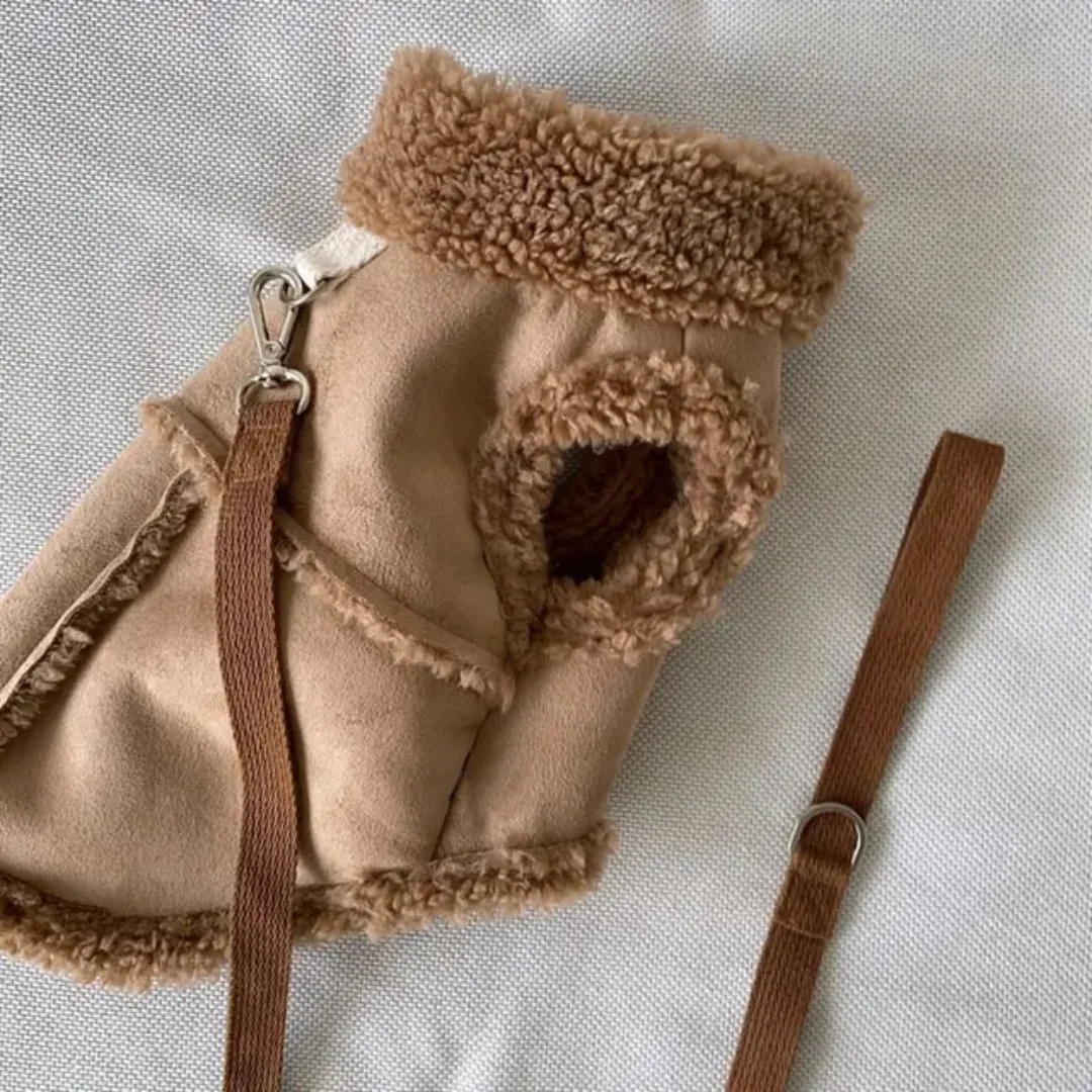 Dogs Warm Jacket With Leash