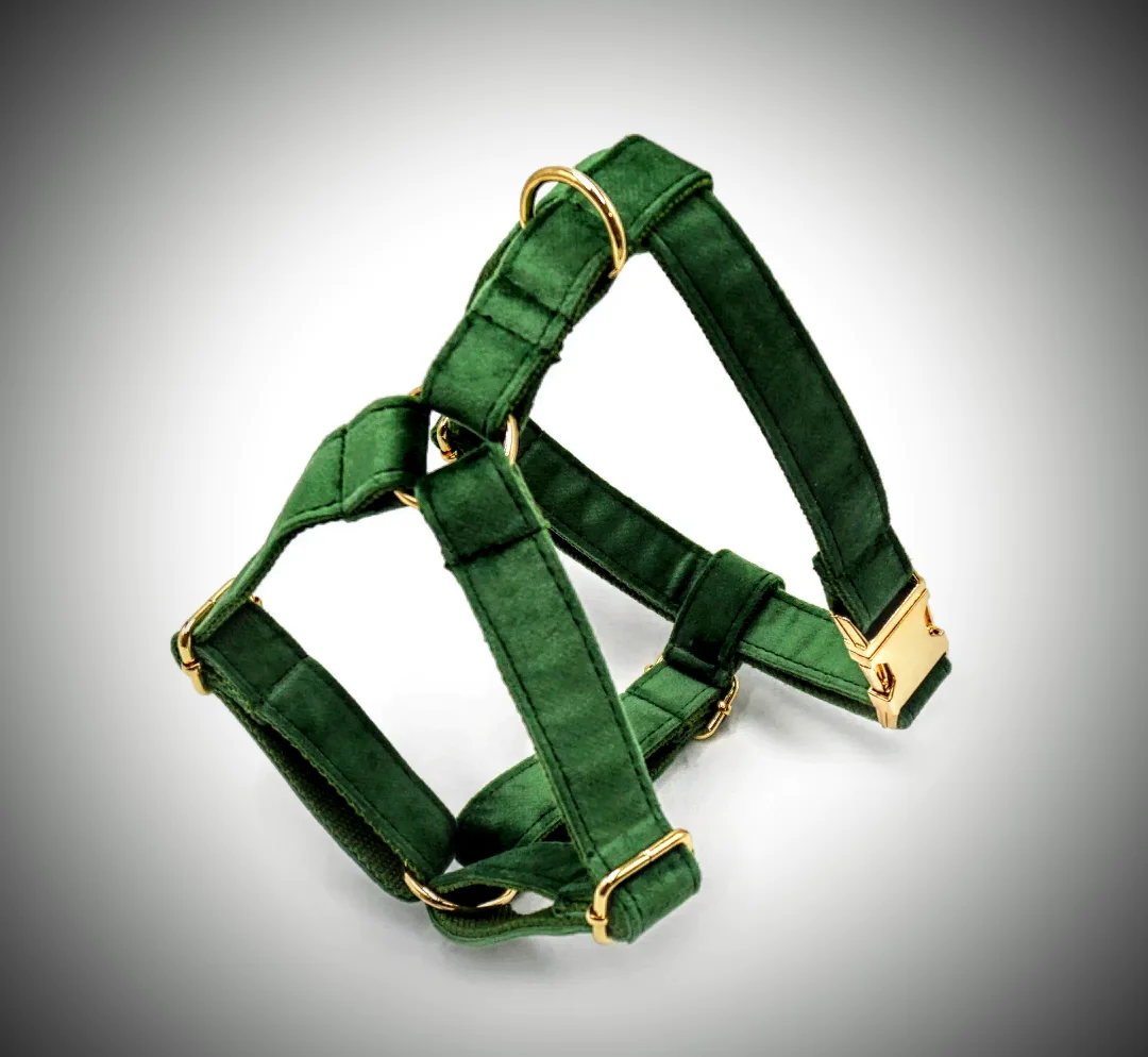 Luxury variety Ajustable Leash/Harness/Collar/pellow/Flower/Poop Bag