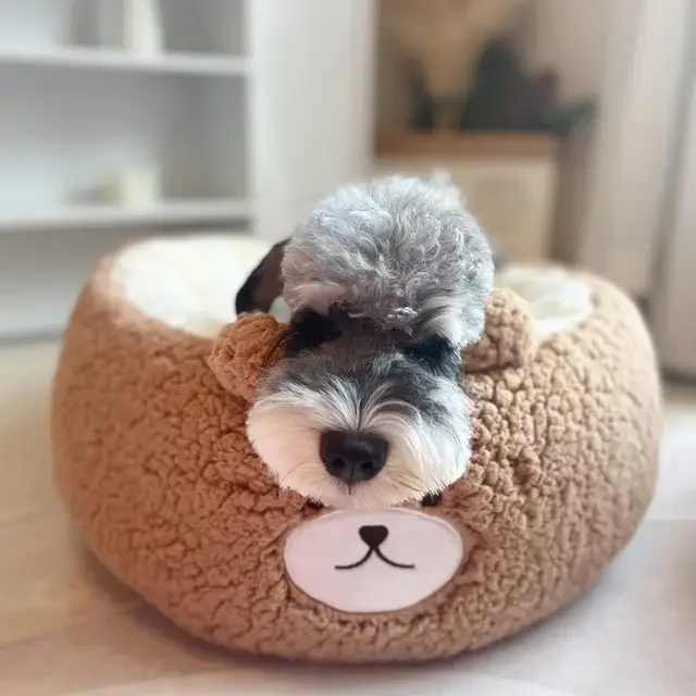 New Cotton Winter Pets Beds