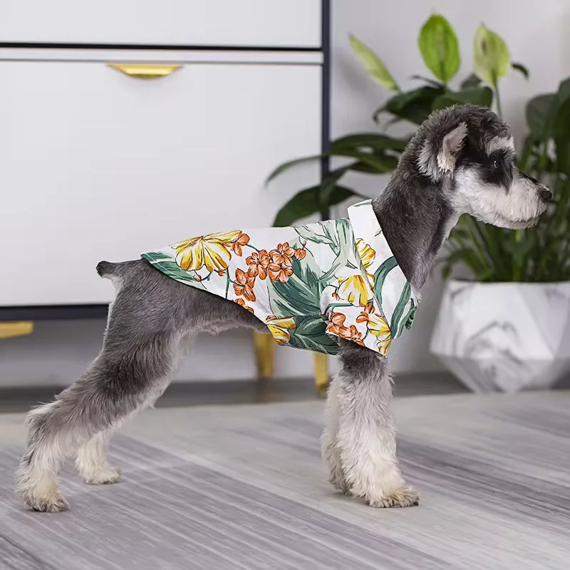 summer fashion T-shirt dog and owner