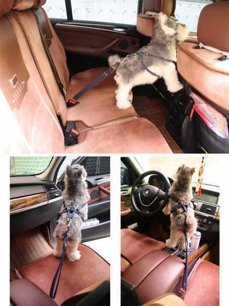 Dog Car Safety Leash