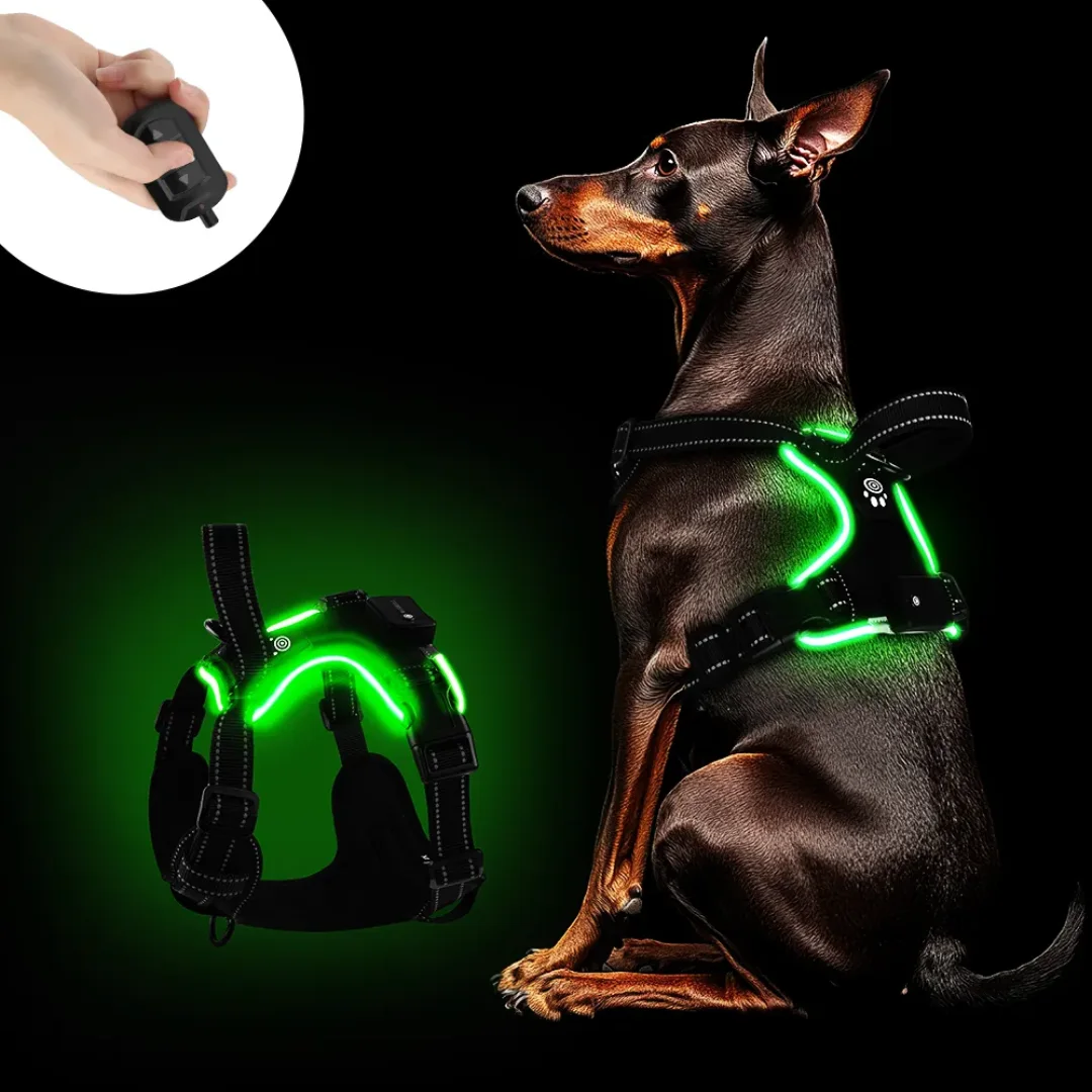 LED Light Up Dog Harness USB Rechargeable