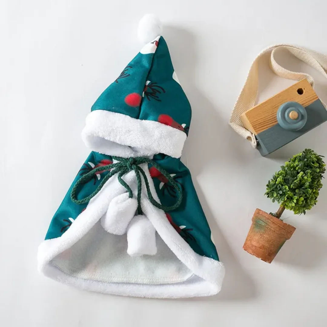 Pet warm Christmas colak for winter