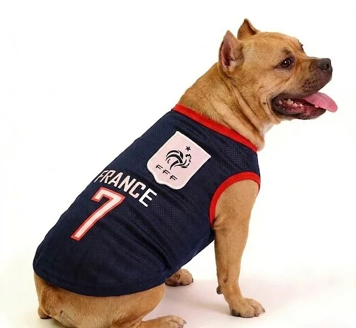 Pet Soccer Jersey T-shirt