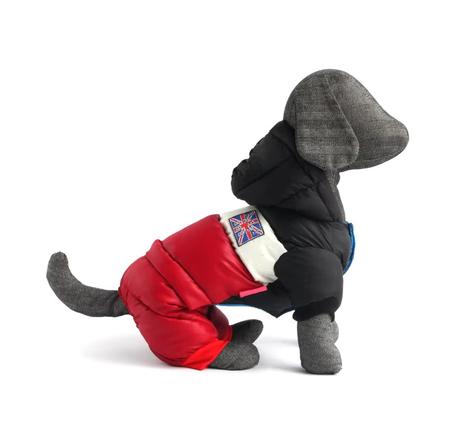 Dog GB Winter Coat