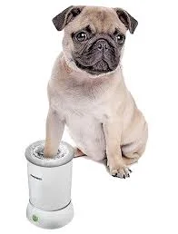 automatic pet washer