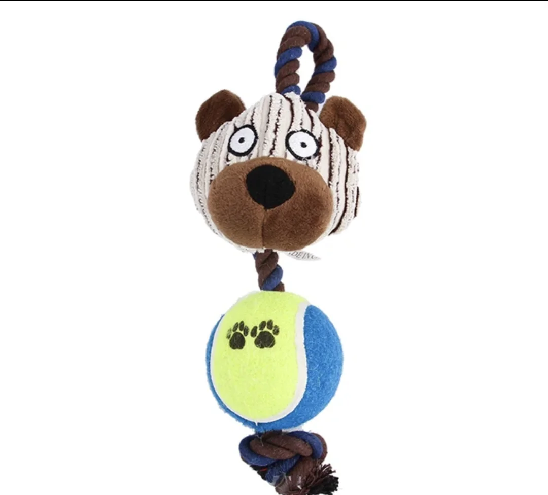 Bear