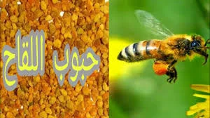 حبوب لقاح