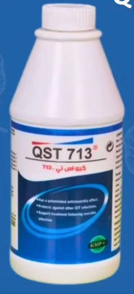 كيو إس تي 713