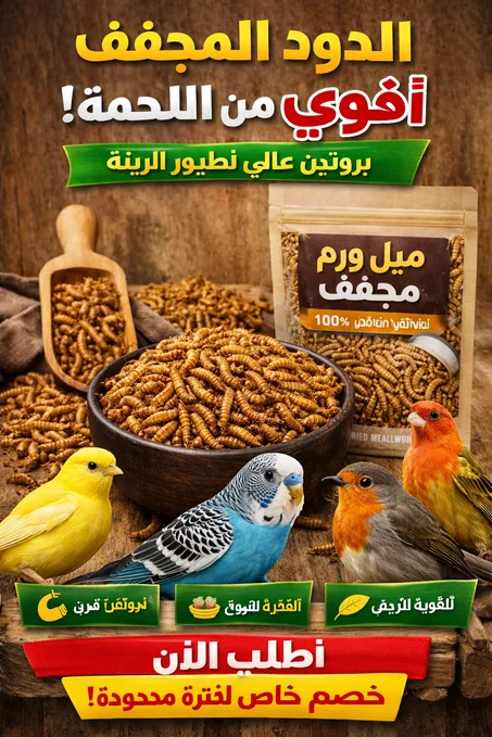 دود مجفف بروتين اعلي من اللحمه ( ميل ورم  ) وزن 50 جرام