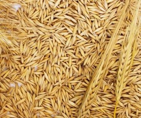 حبوب شوفان كاملة بالقشر  (250 جرام)