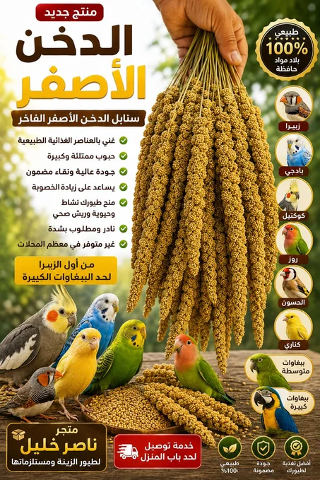 دخن اصفر 1 كيلو