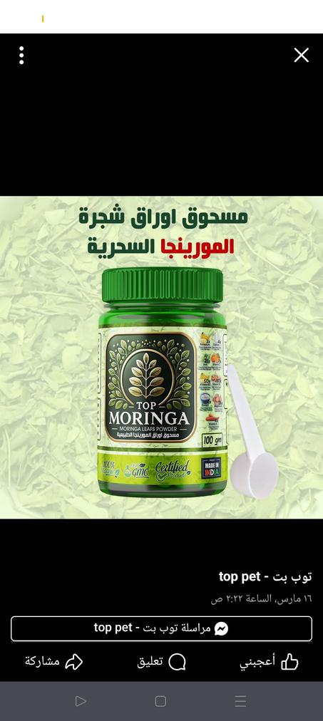 توب مورينجا بودر الشجرة المعجزه