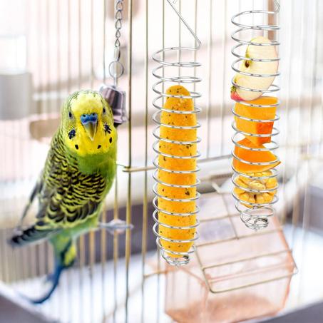 دلايه (مساكه خضار وفاكهة سوسته )