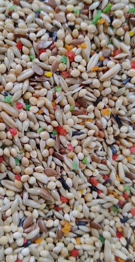 بادجيكا خلطة حبوب