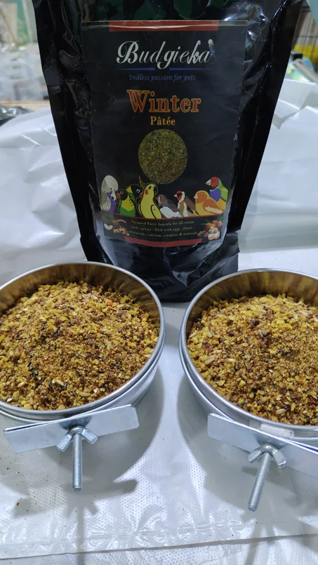 بادجيكا وينتر باتيه (Budgieka Winter Patee)