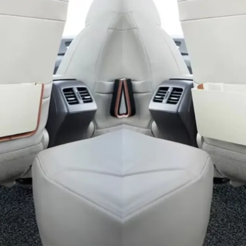Deux boîtes de rangement anti-poussière pour voiture